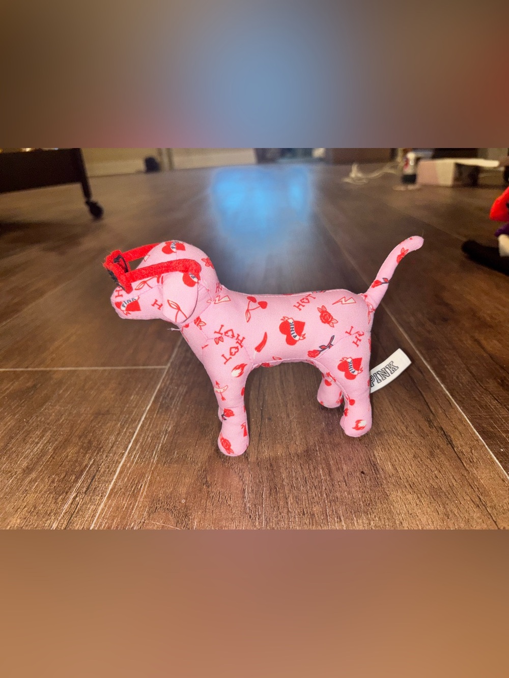 Victoria’s Secret VS PINK 2025 Valentines Day Dog Limited Edition W/ Sunglasses